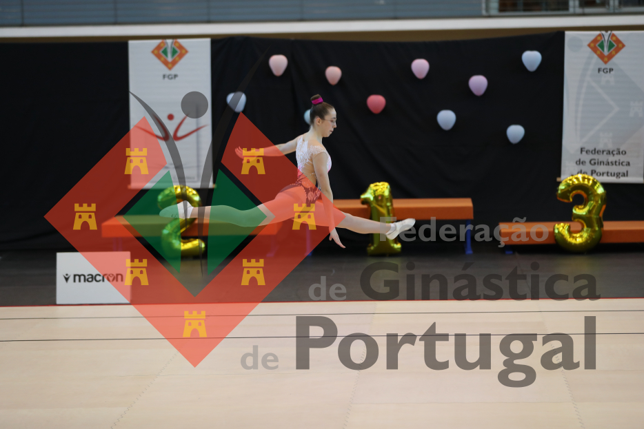 1552_Taça de Portugal AER